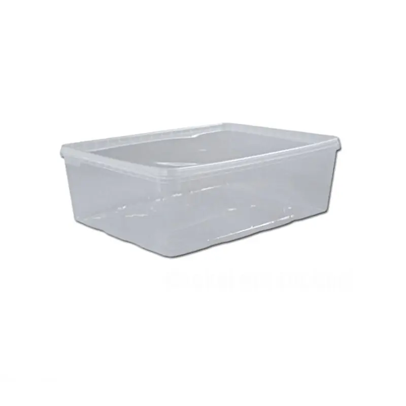 BraPlast TRANSPORTBOX 245 x 185 x 80 mm 3 Liter (transparent) Sonderaktion